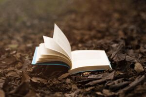 Livre ouvert symbolisant la rédaction et la transmission d'une histoire familiale par la généalogie.